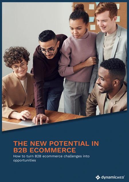 B2B Ecommerce potential